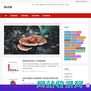 破壁灵芝孢子粉的功效与作用及正确吃法「正宗」-泰山芝者