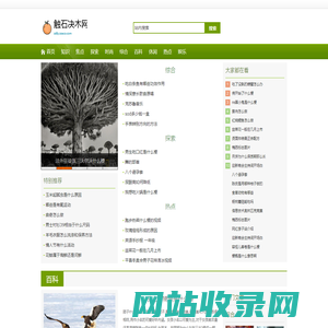 触石决木网