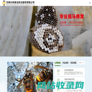 无锡捅马蜂窝_无锡处理清理马蜂窝_无锡处理蜜蜂窝-长峰害虫