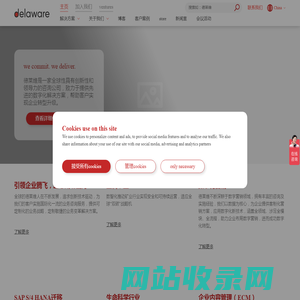 德莱维提供先进的信息技术解决方案及服务 - delaware China