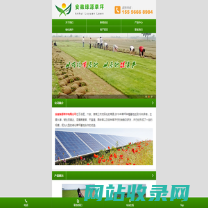安徽草坪,六安草坪,淮南草坪,合肥草坪,寿县草坪,南京草坪,安徽绿源草坪有限公司