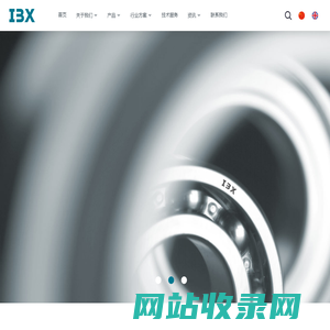 IBX轴承|杭州旭精机械科技有限公司