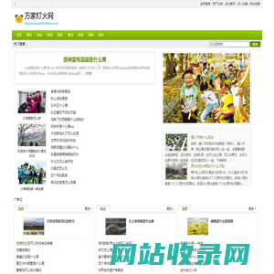 万家灯火网