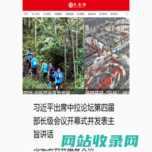 东北网