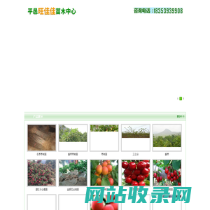 山楂苗，山楂树苗，旺佳佳山楂苗木基地_山楂苗，山楂树苗，旺佳佳山楂苗木基地