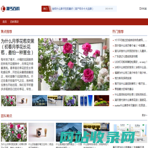 潮丐百科