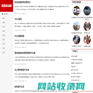 飘飘欲仙网
