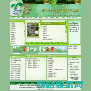新型农耕技术记录-水培花卉