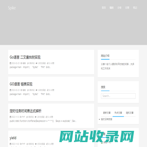 Spike - 一些闲谈