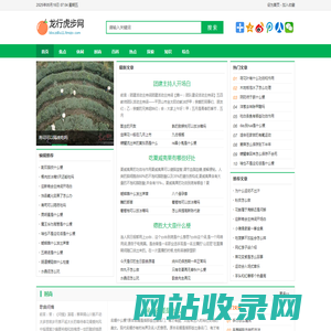 龙行虎步网