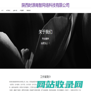 陕西时源南智网络科技有限公司
