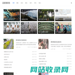 买笑寻欢网