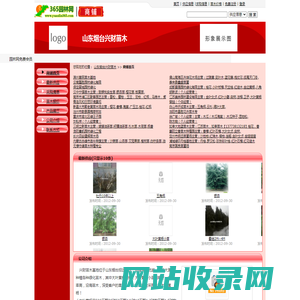 山东烟台兴财苗木