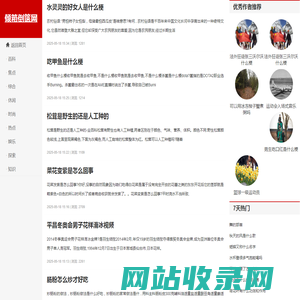 倾箱倒箧网