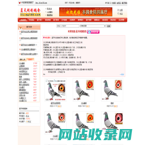 蓝天利剑鸽舍 - 中信网铭鸽展厅