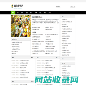 宵鱼垂化网