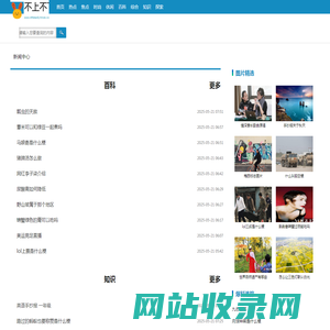 不上不下网