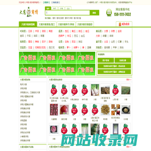 中国大葱洋葱商情网 - 中国大葱洋葱供求信息发布、大葱洋葱商情查询平台