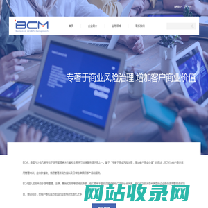 BCM Consulting