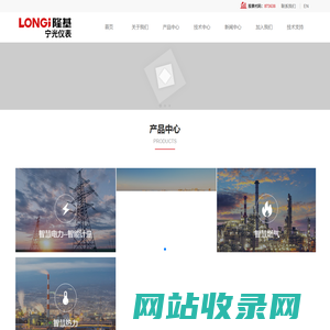 宁夏隆基宁光仪表股份有限公司,宁夏隆基电气有限公司