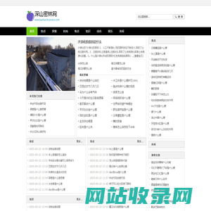 深山密林网