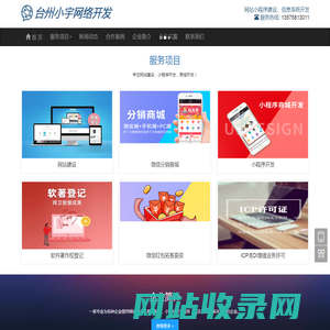 网站小程序建设、信息系统开发