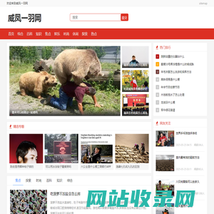 威凤一羽网
