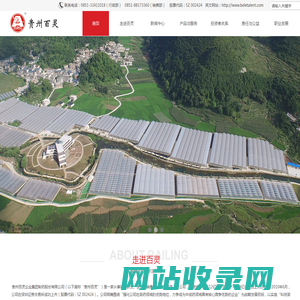 贵州百灵企业集团制药股份有限公司
