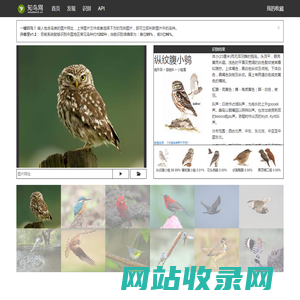 知鸟网
