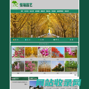 恒瑞园艺_银杏_法桐_红玉兰_白玉兰_黄玉兰_紫玉兰_二乔玉兰_栾树_马褂木_海棠_西府海棠_垂丝海棠_北美海棠_樱花_紫薇_白腊_红枫_红叶石楠_球类植物-邳州恒瑞银杏发展有限公司