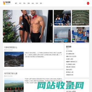 龟龙鳞凤网