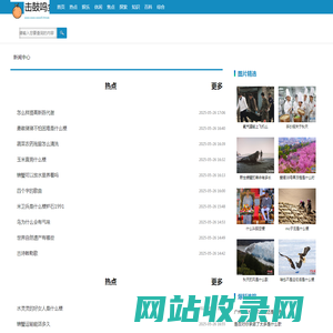 击鼓鸣金网
