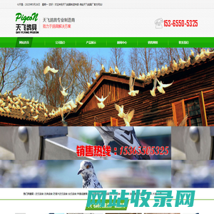 海安天飞鸽具厂.!