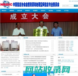 中国信息协会自然资源和地理空间信息专业委会员-中国信息协会