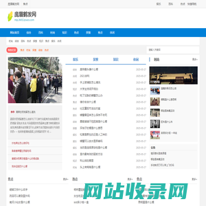 庞眉鹤发网