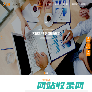 艾顿软件有限公司