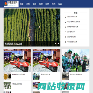 印累绶若网