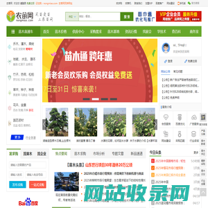 农苗网|苗木求购信息-园林绿化专业苗木网站