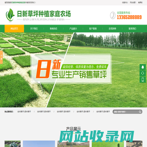 徐州草坪|徐州日新草坪|宿迁草坪|淮北草坪|枣庄草坪|济宁草坪|商丘草坪