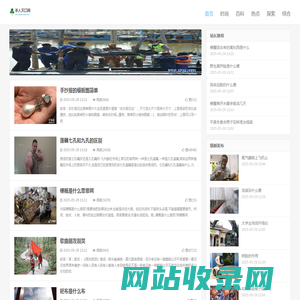 杀人灭口网