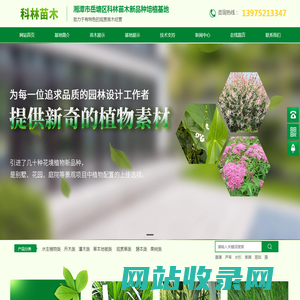 湘潭科林苗木新品种培植基地_观赏苗木经营