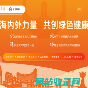 山东新华制药股份有限公司