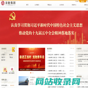 龙驰集团