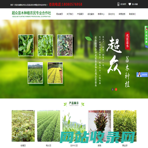 雅安市名山区超众苗木种植农民专业合作社