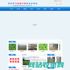 明光市飞莲甜叶菊专业合作社