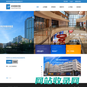 深圳市国新投资控股有限公司