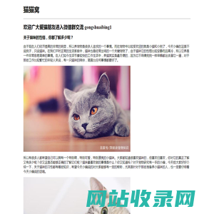 猫猫窝