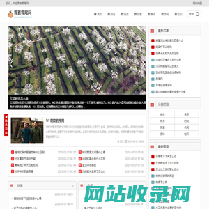 畏首畏尾网