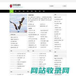 无师自通网
