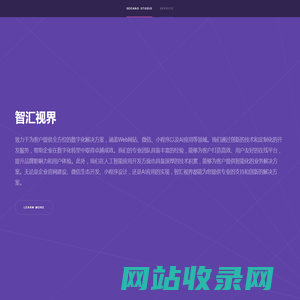 智汇视界